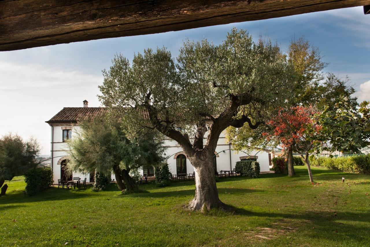 Villa Coralia Agriturismo Osimo Dış mekan fotoğraf