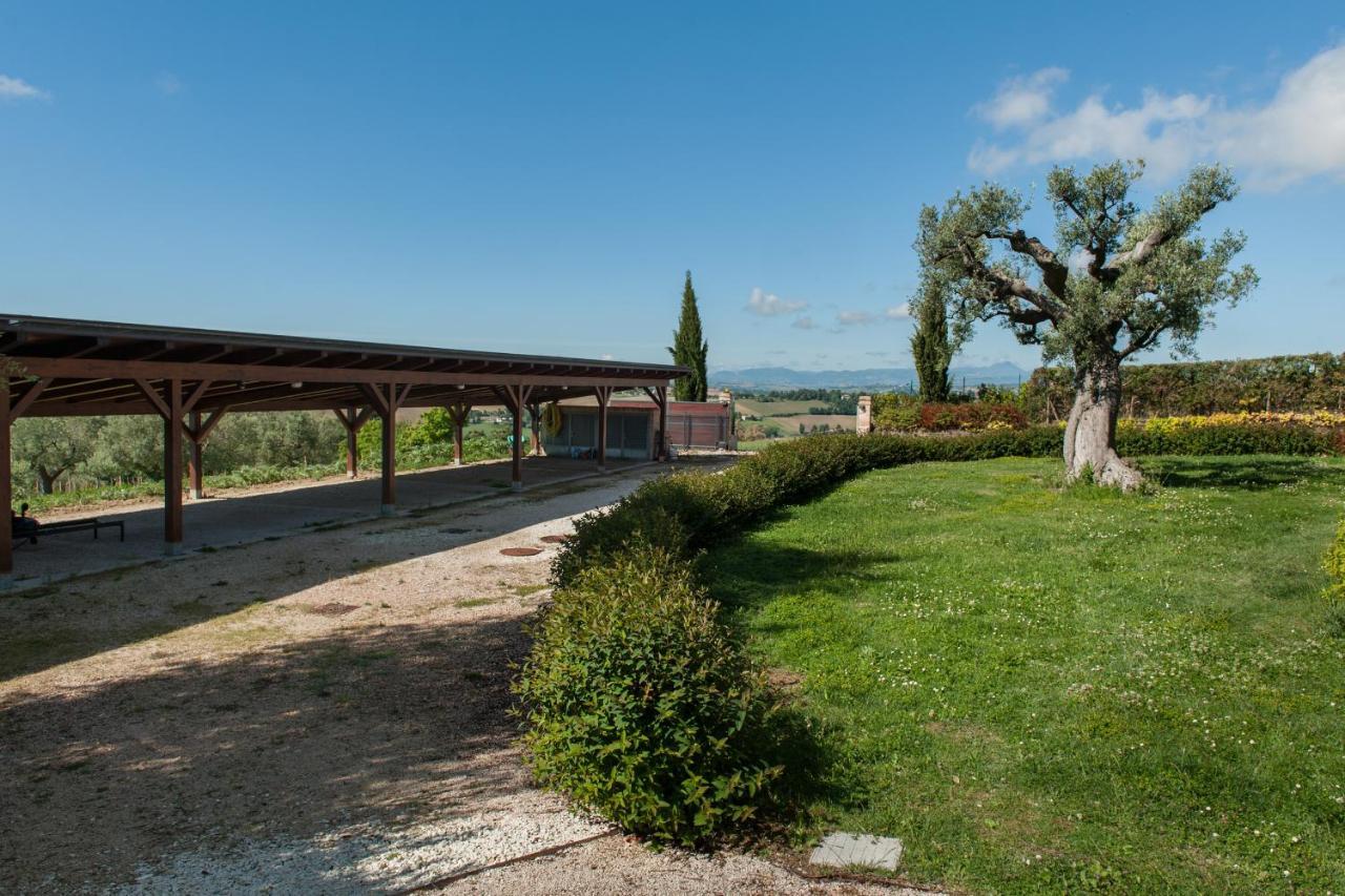 Villa Coralia Agriturismo Osimo Dış mekan fotoğraf