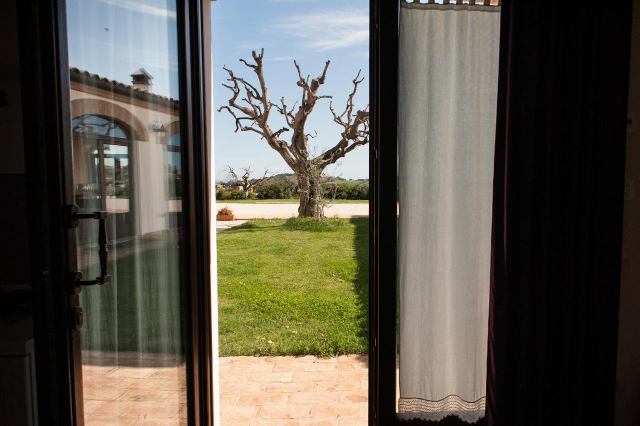 Villa Coralia Agriturismo Osimo Dış mekan fotoğraf